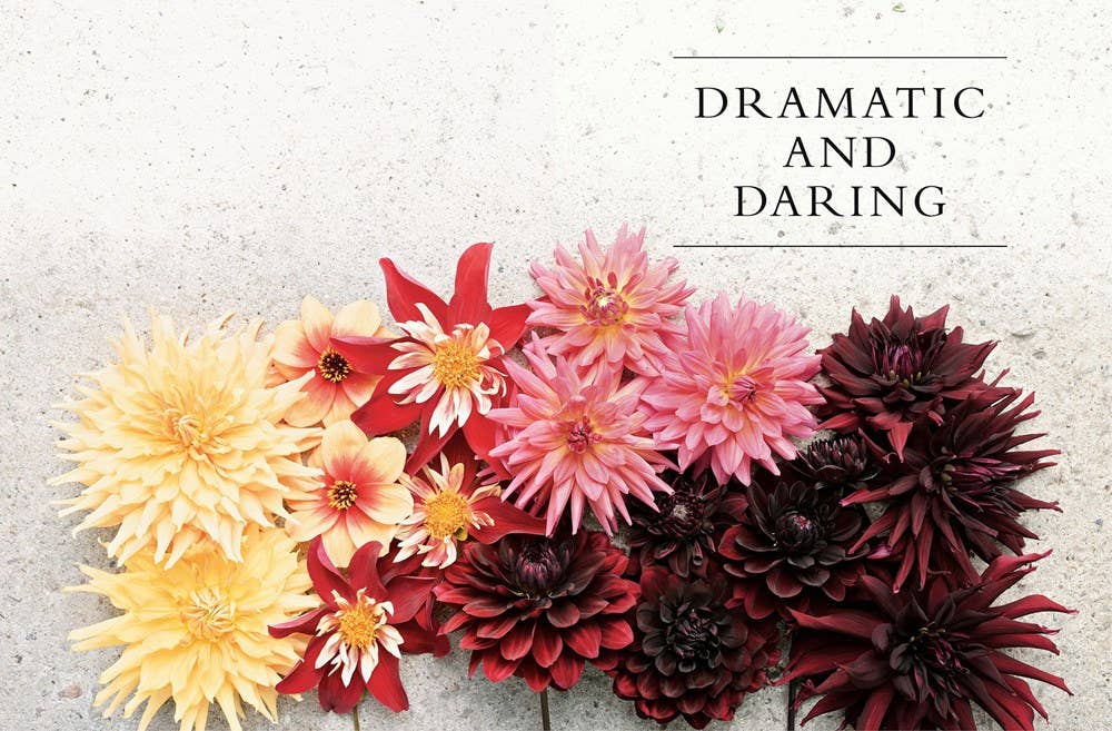 Dahlias: Beautiful Varieties for Home & Garden Book
