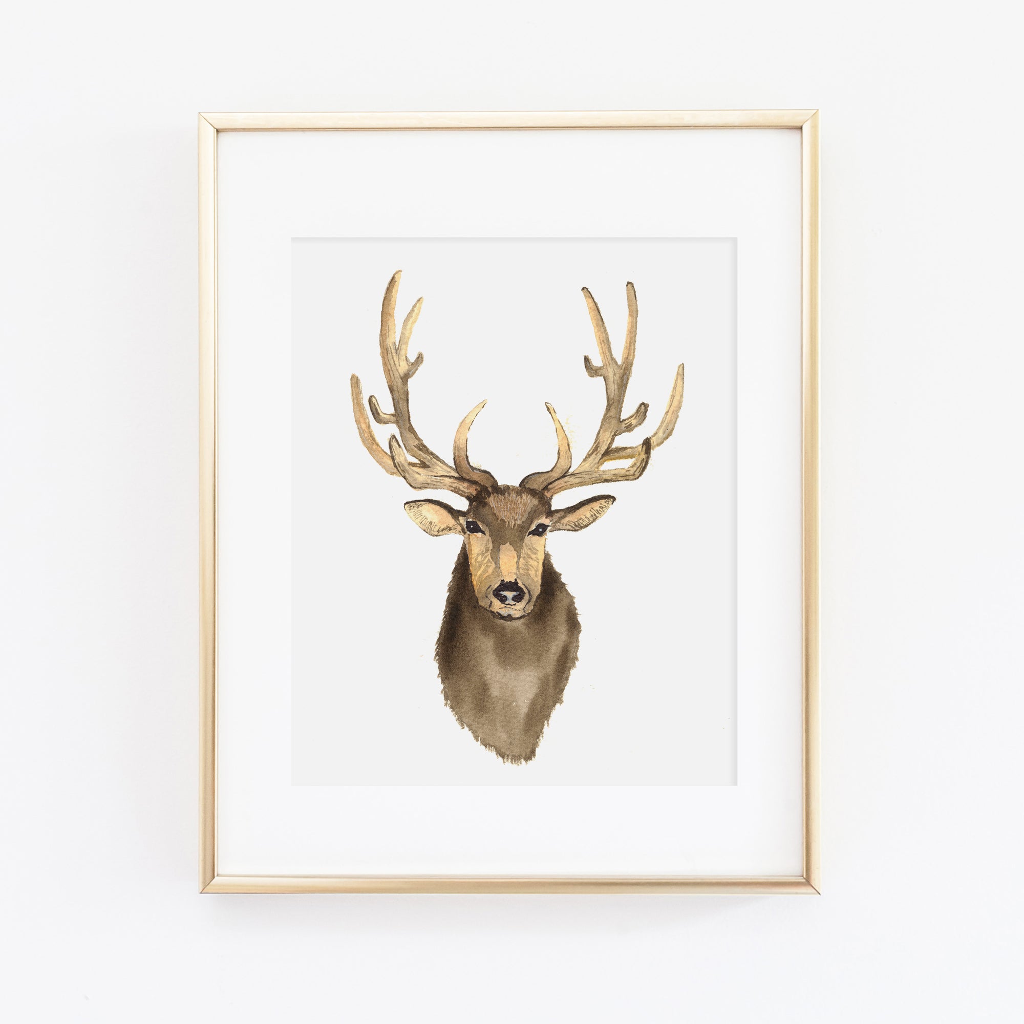 Elk Art Print