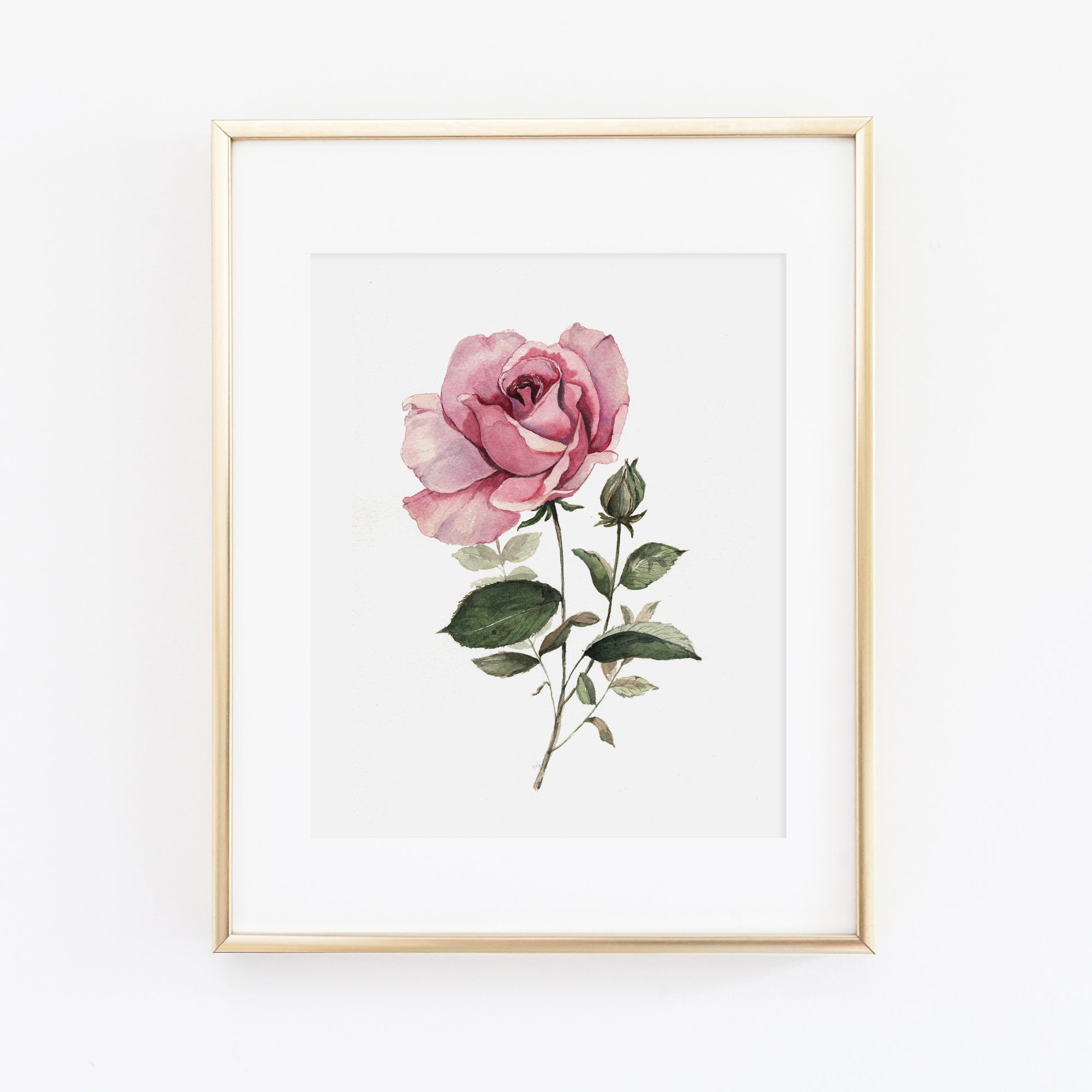 Deep Rose Art Print
