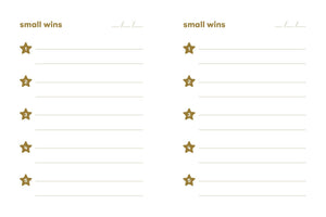Small Wins