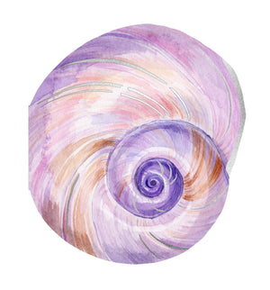 Shell Notecards (set of 12)