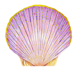 Shell Notecards (set of 12)