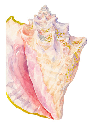 Shell Notecards (set of 12)