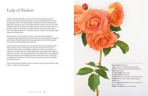 Vintage Roses: Beautiful Varieties for Home & Garden Book
