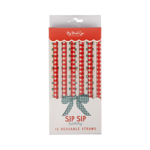 Red Gingham Merry Christmas Reusable Straws