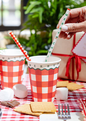 Red Gingham Merry Christmas Reusable Straws