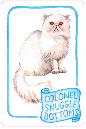 Cat Lady Old Maid