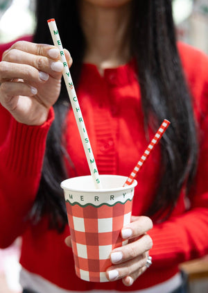 Red Gingham Merry Christmas Reusable Straws