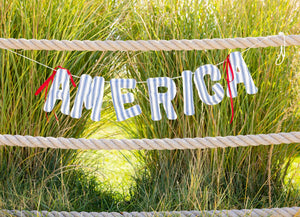 America Ticking Linen Puffy Banner