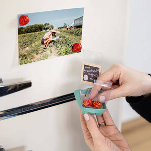 Strawberry Mini Magnets (set of 4)