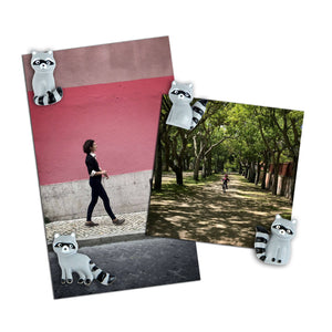 Raccoon Mini Magnets (set of 4)