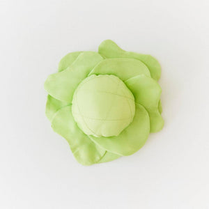 Silk Cabbage