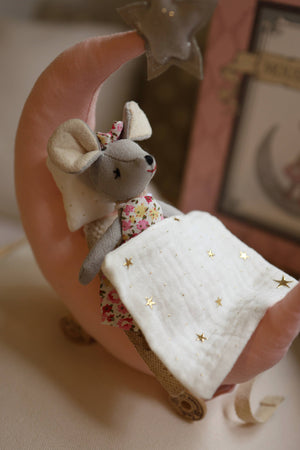 Mouse and the Moon Gift Box