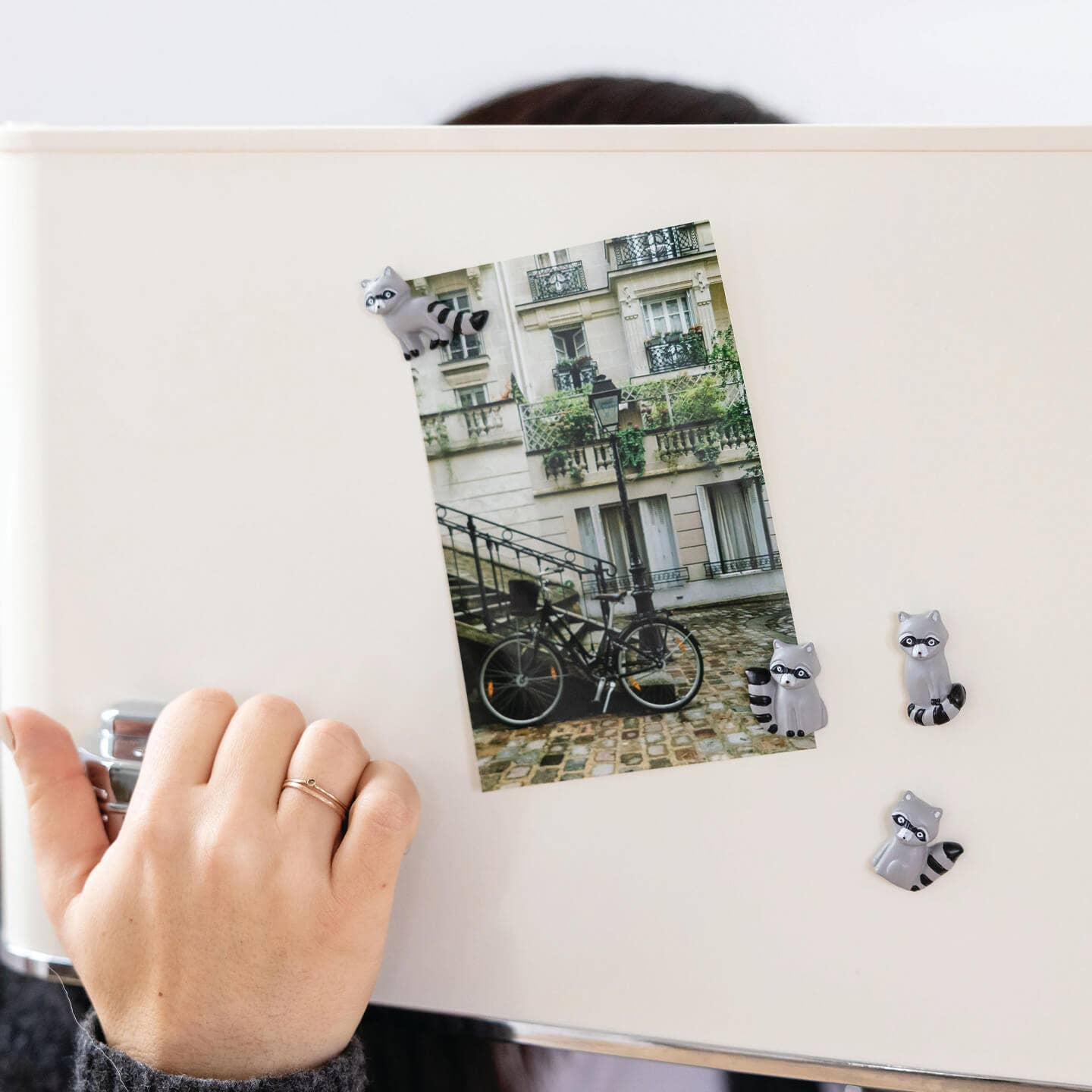 Raccoon Mini Magnets (set of 4)