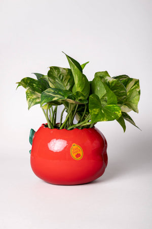 Ceramic Apple Pencil Cup