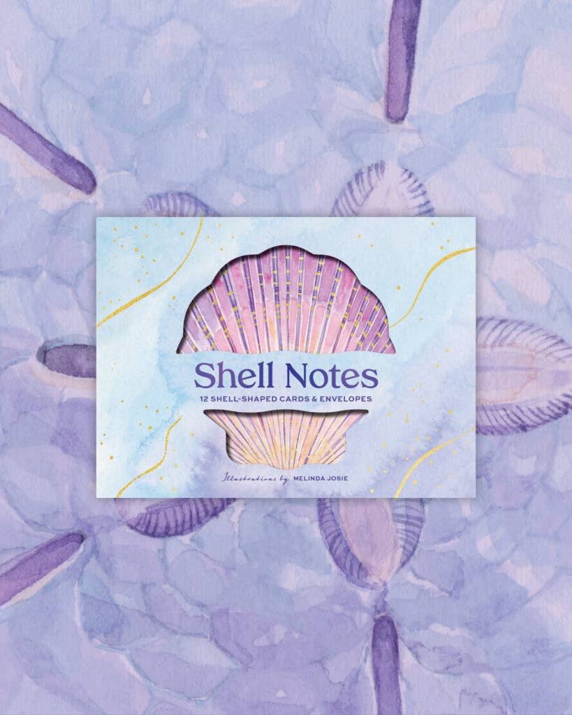 Shell Notecards (set of 12)