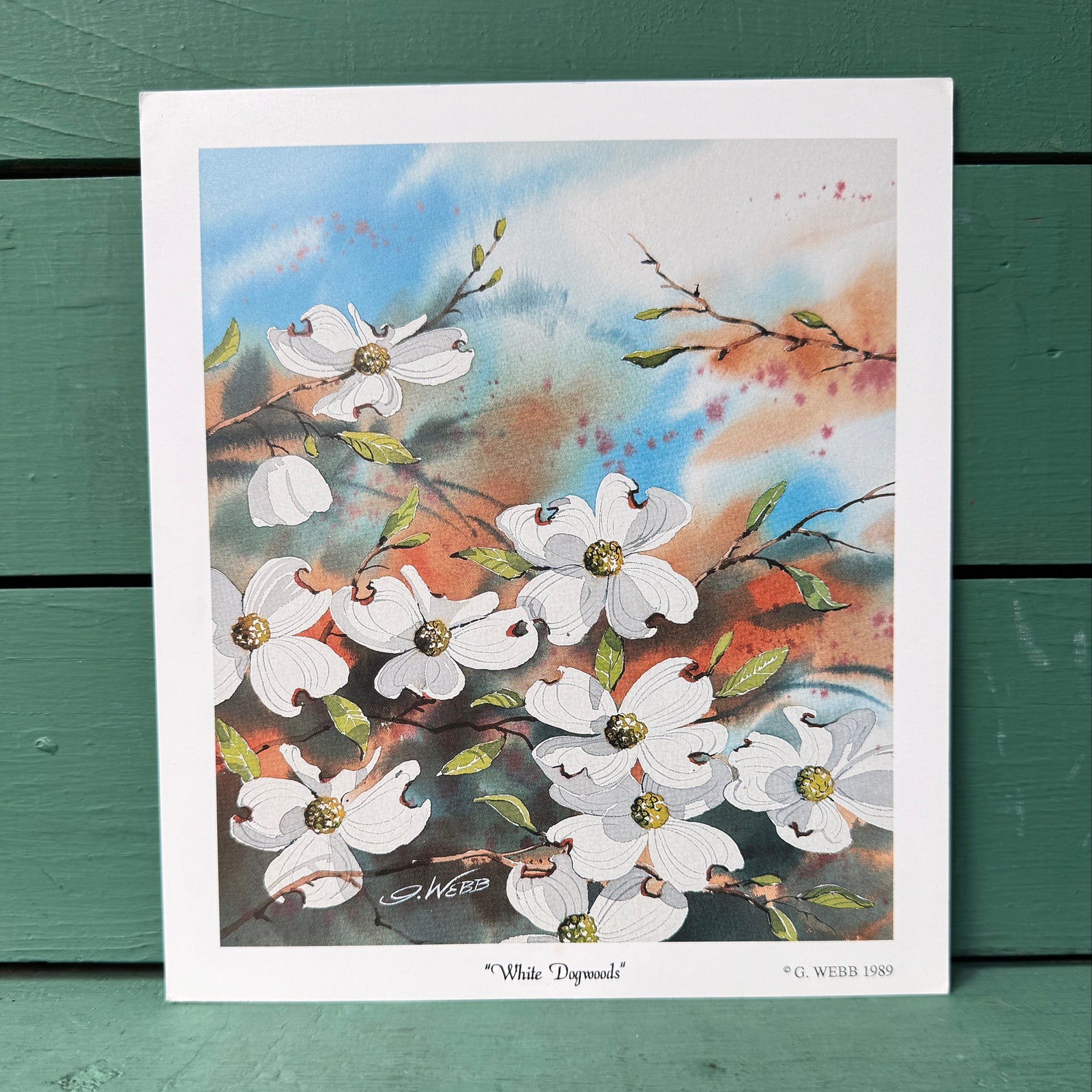 "White Dogwoods" Papa G. Webb Art Print