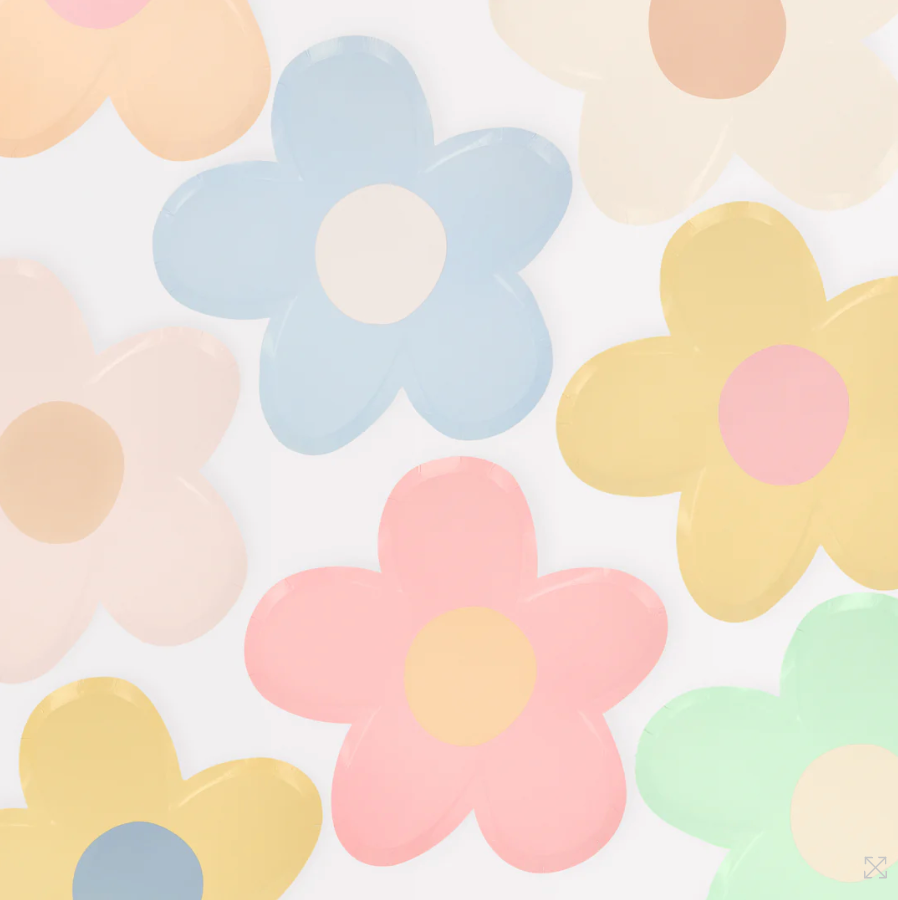Colorful Daisy Plates