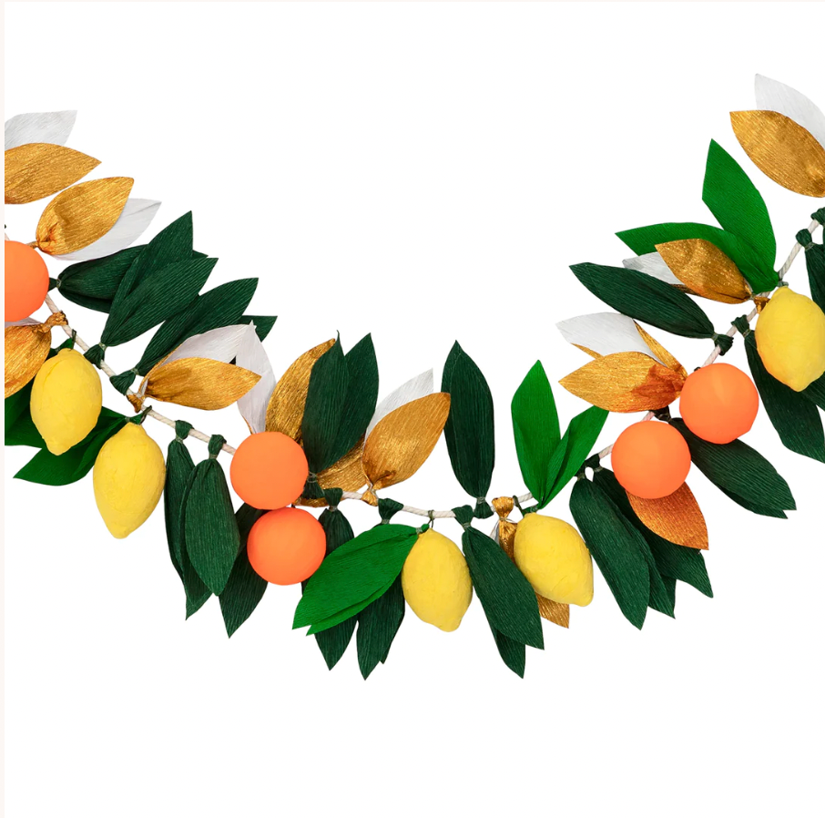 Citrus Fruit Garland