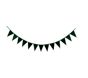 Green Velvet Pennant Banner