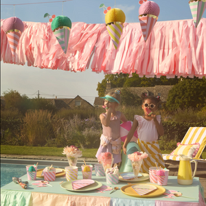 Ice Cream Cups and Spoons Ice Cream Truck Kit