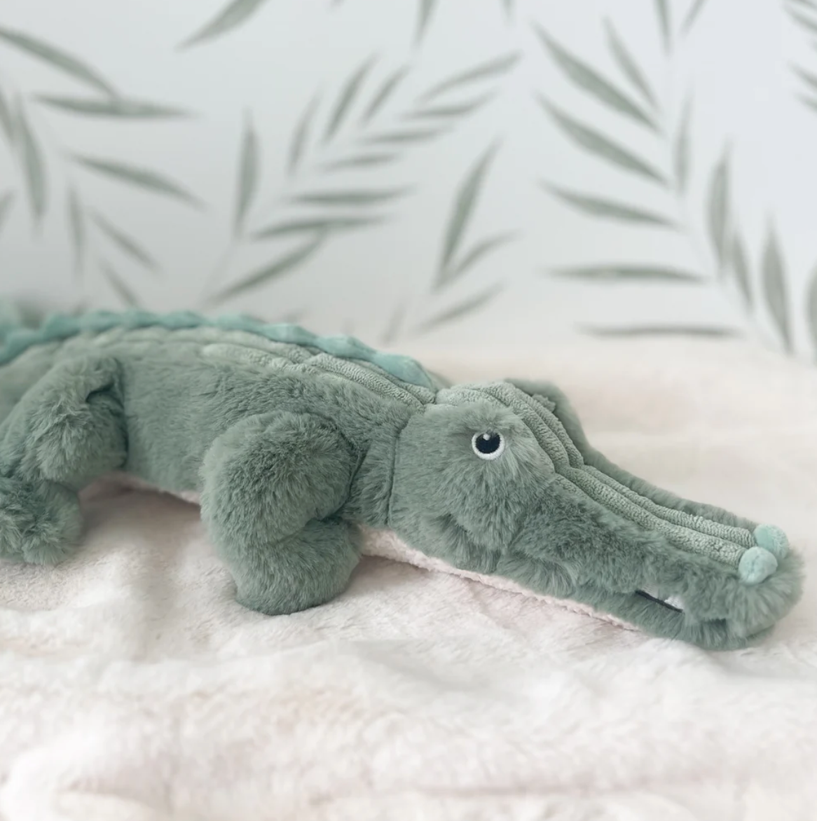 Jagger the Alligator