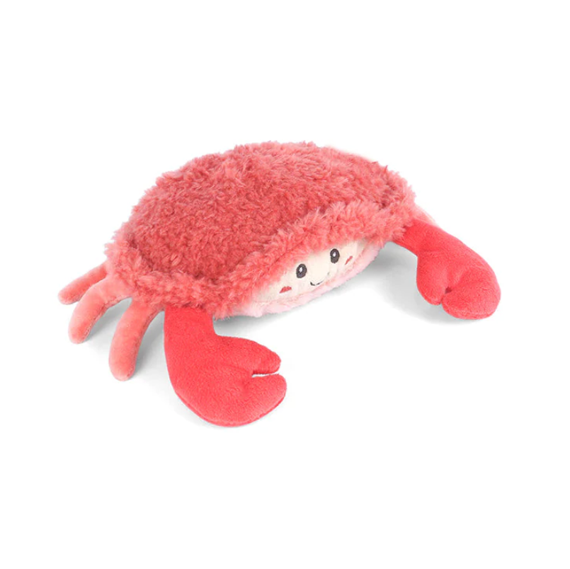 Shy Crab