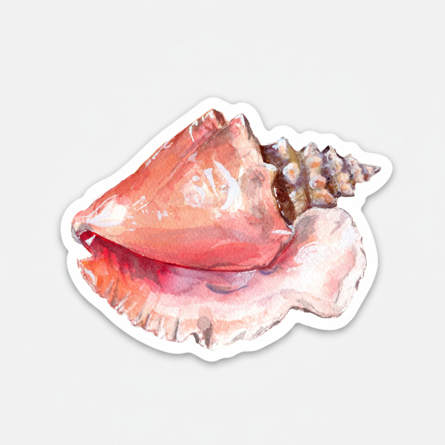 Conch Shell Sticker
