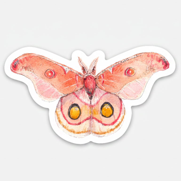 Pink Polyphemus Moth Sticker