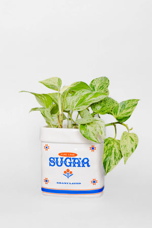 Ceramic Planter, Sugar Jar