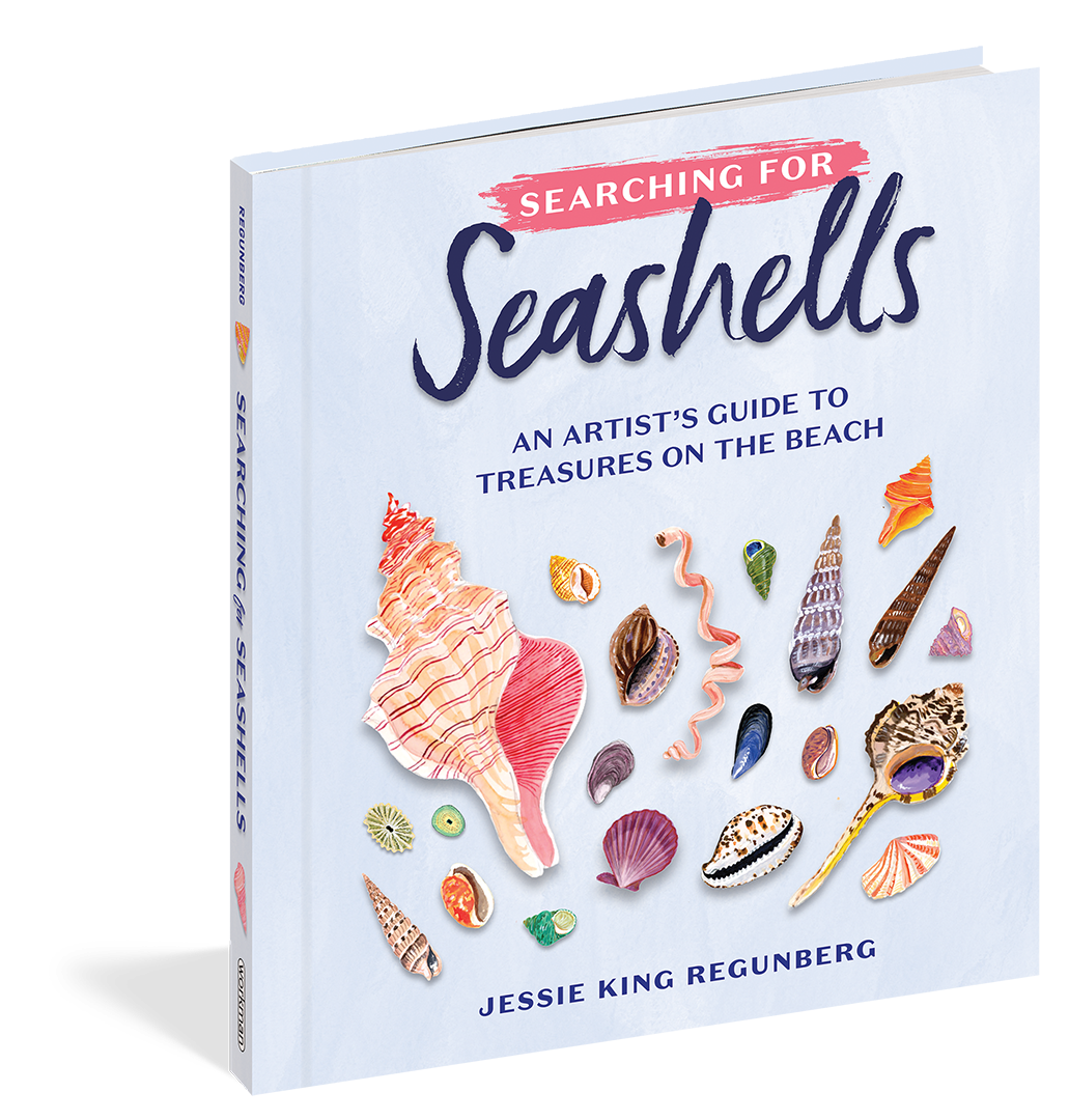 Searching for Seashells