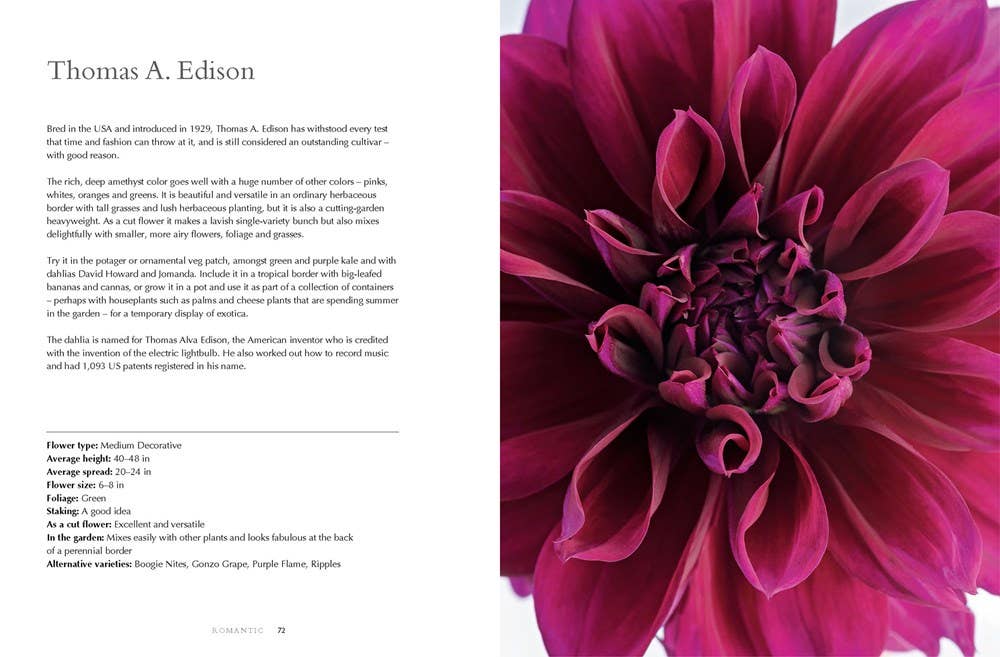 Dahlias: Beautiful Varieties for Home & Garden Book