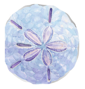 Shell Notecards (set of 12)
