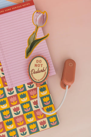 Do Not Disturb Book Light