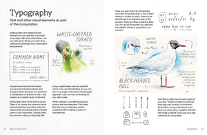 Birds in Watercolour