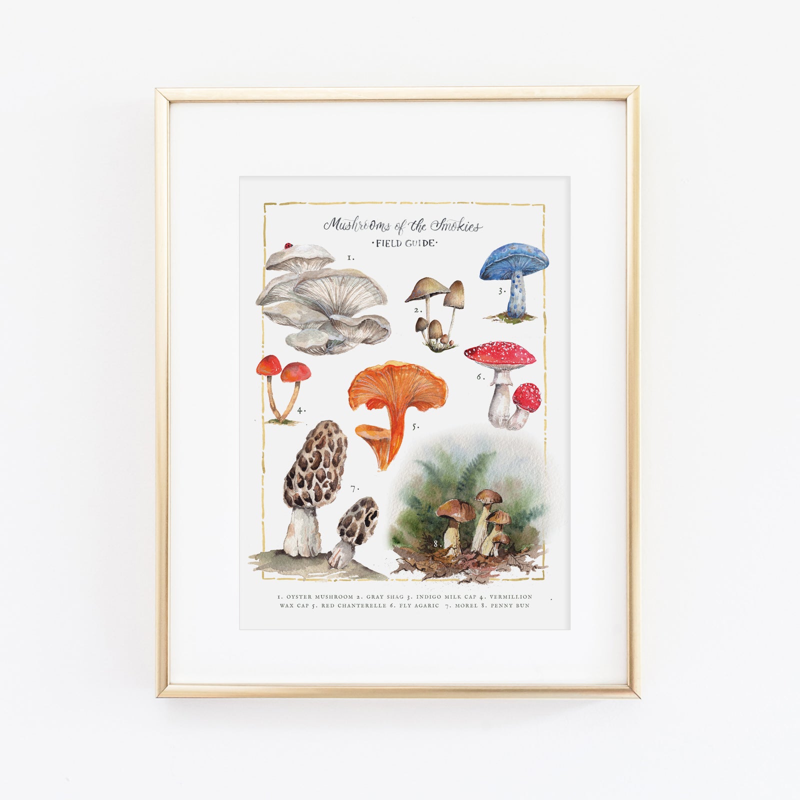 Mushrooms of the Smokies Art Print