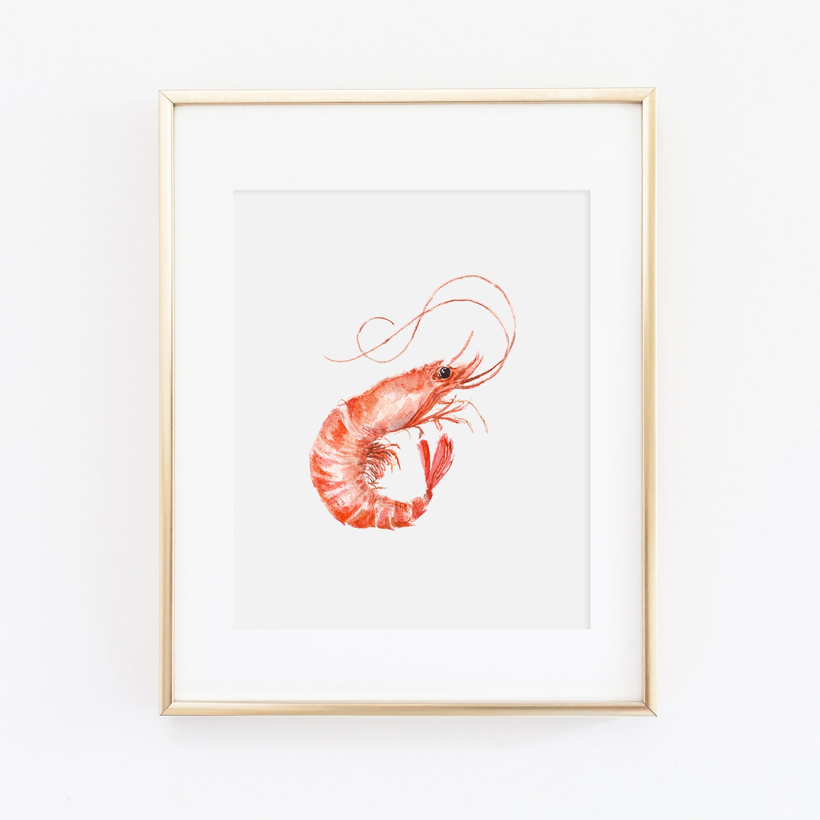 Shrimp Art Print