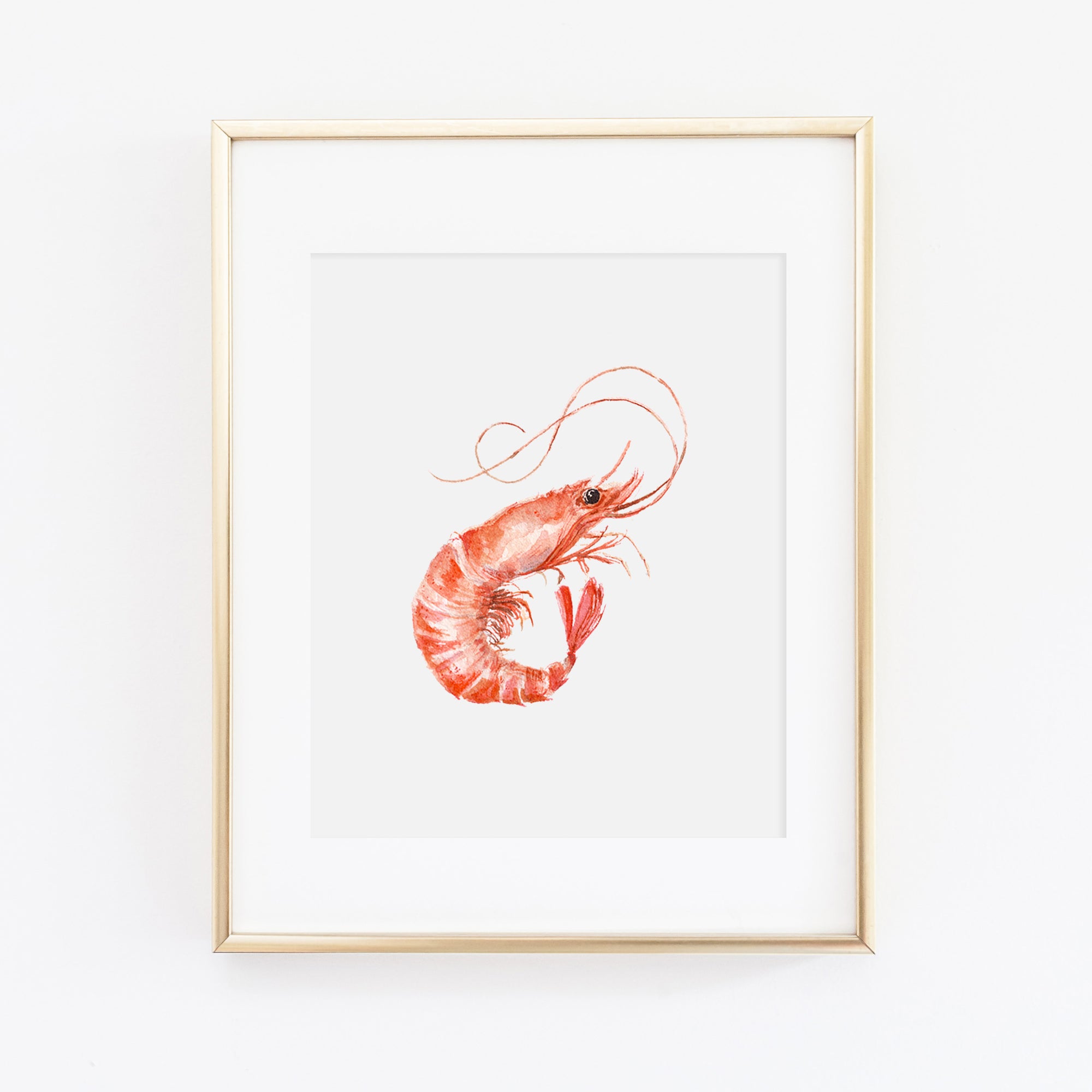 Shrimp Art Print