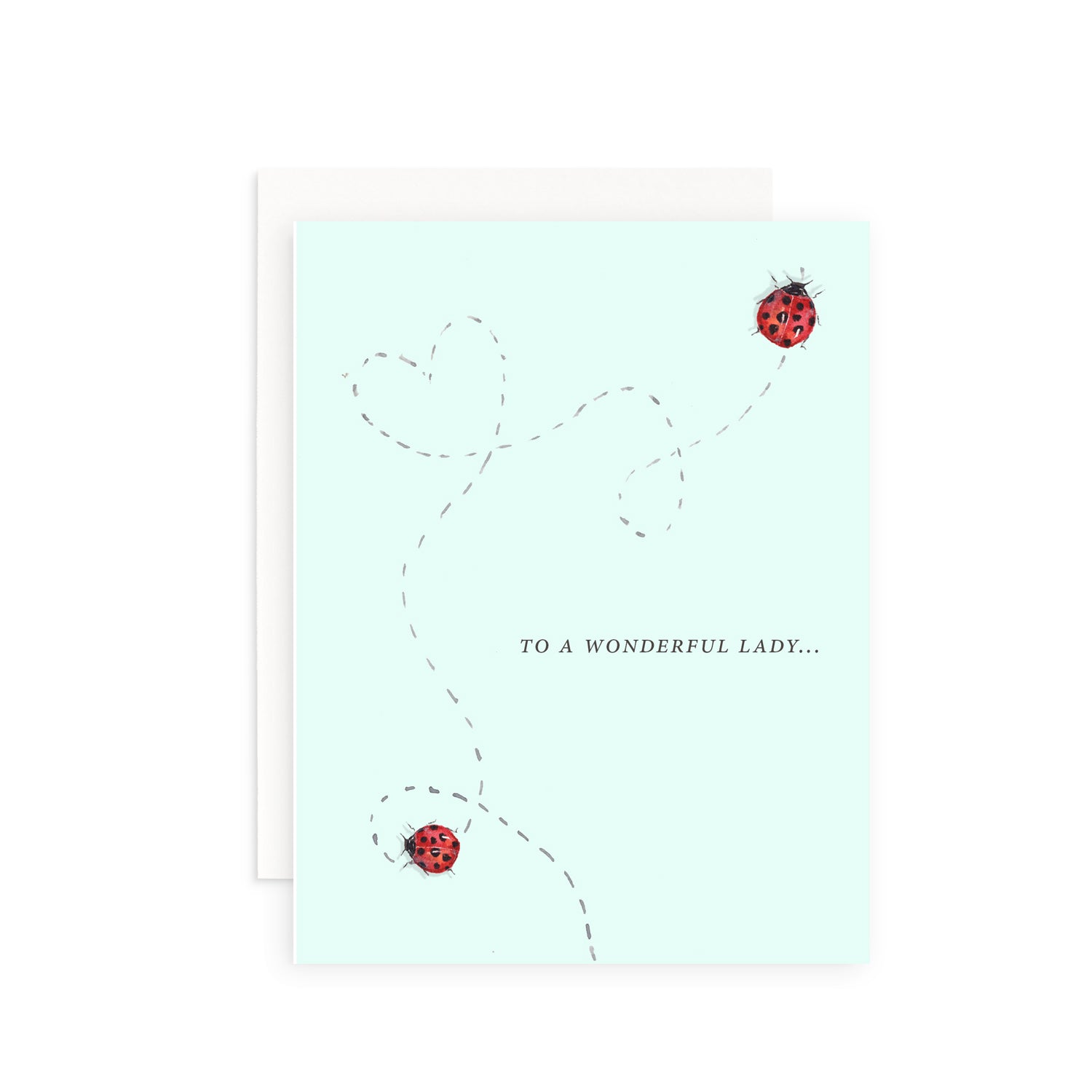To a Wonderful Lady Greeting Card