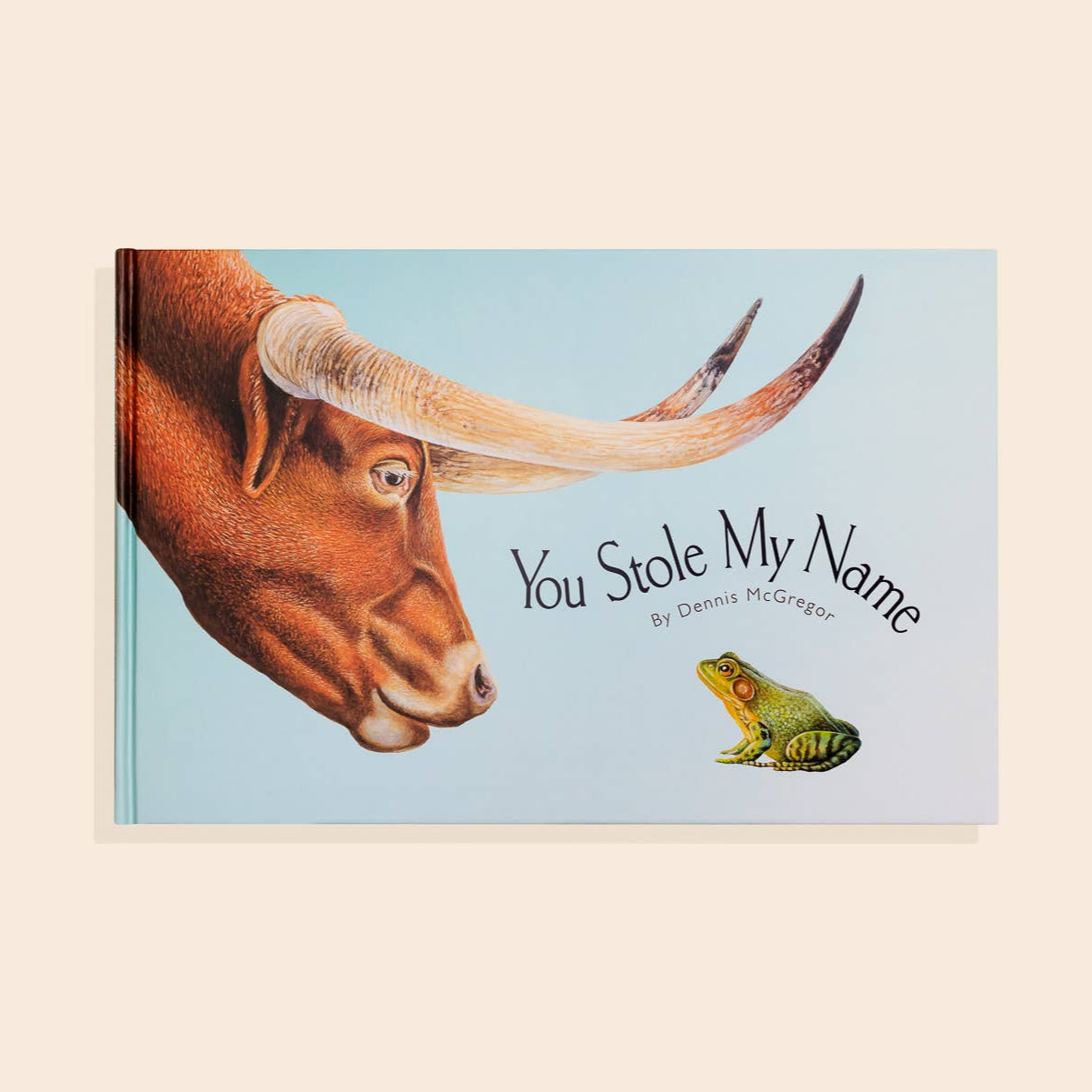 You Stole My Name (Picture Book for Kids)
