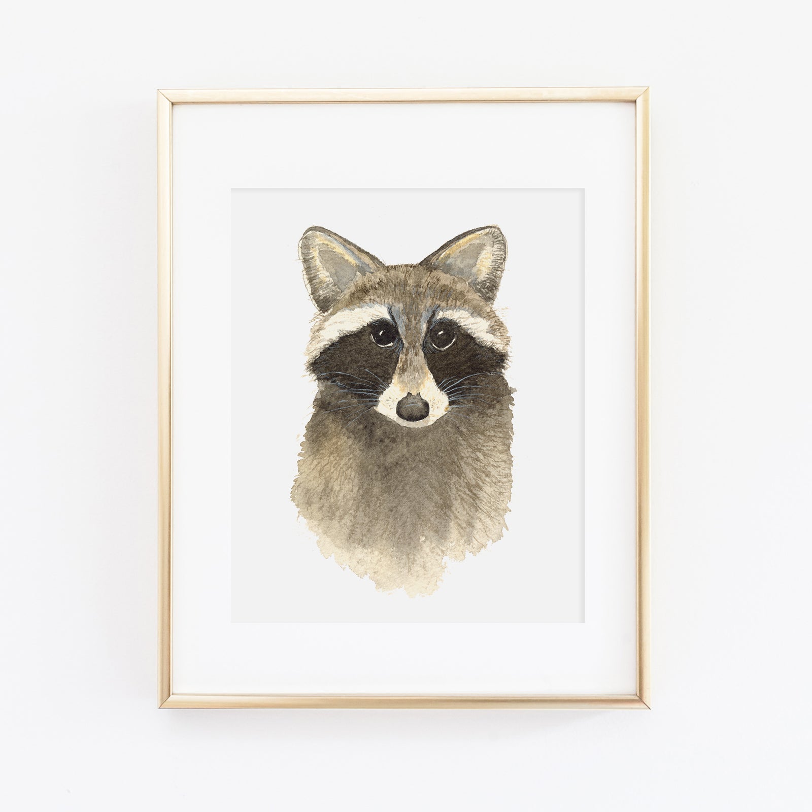 Raccoon Art Print