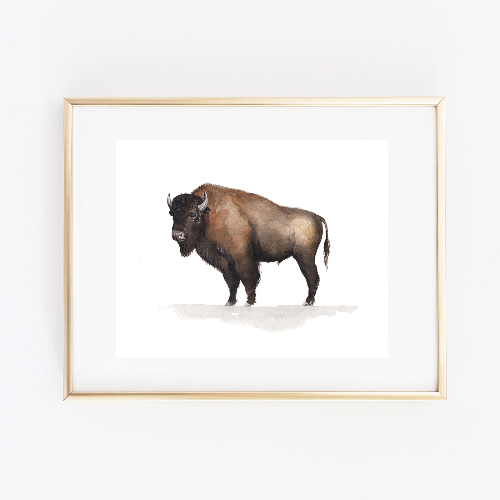 Buffalo Art Print