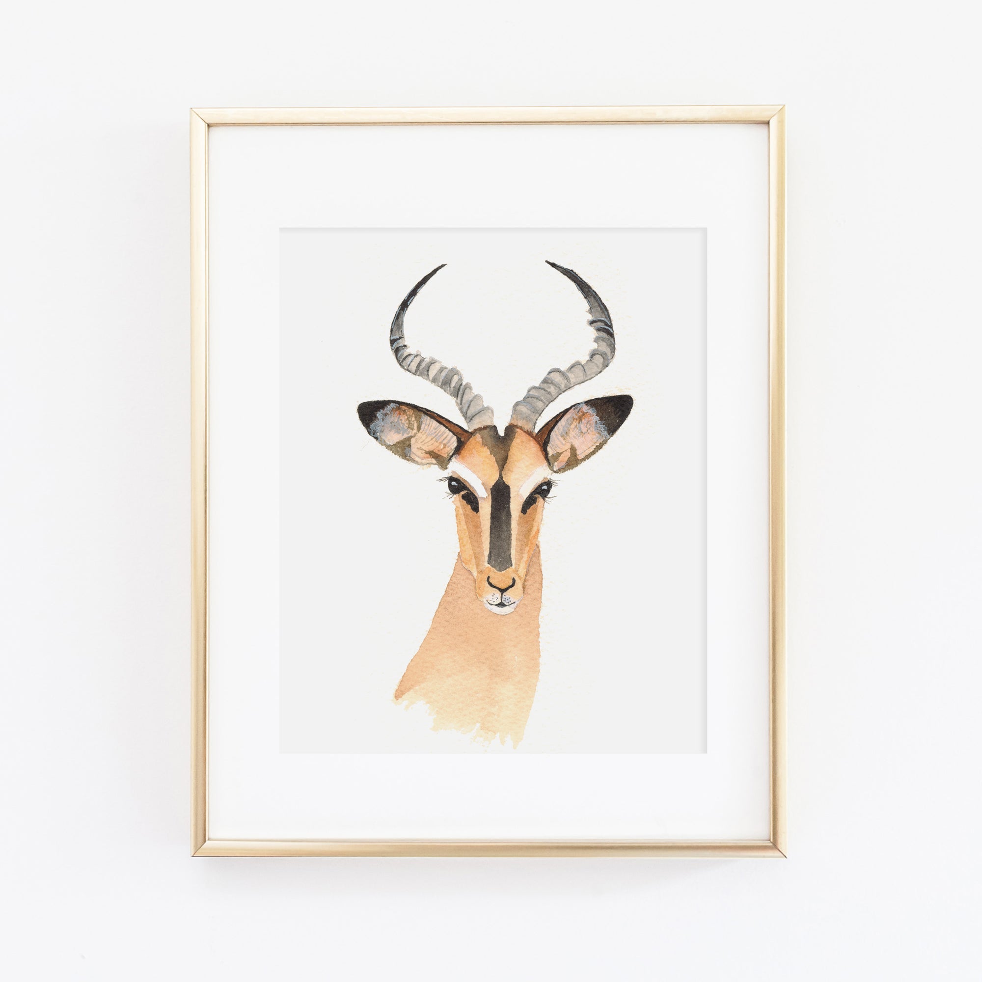 Impala Art Print