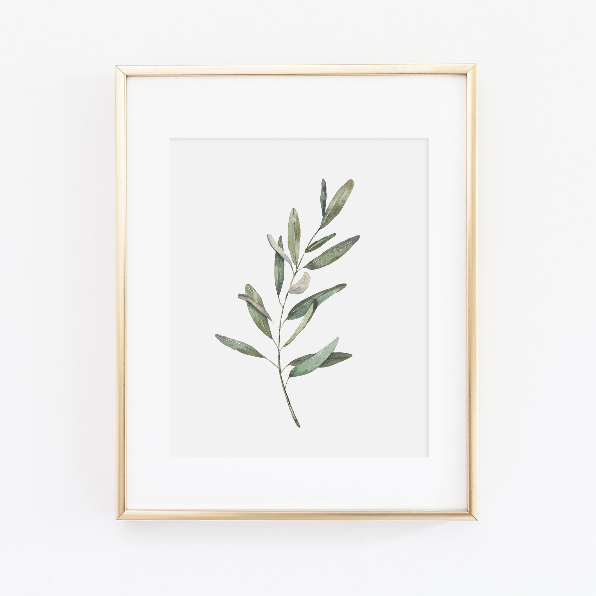 olive branches, an art print by jenny pokryvailo - INPRNT