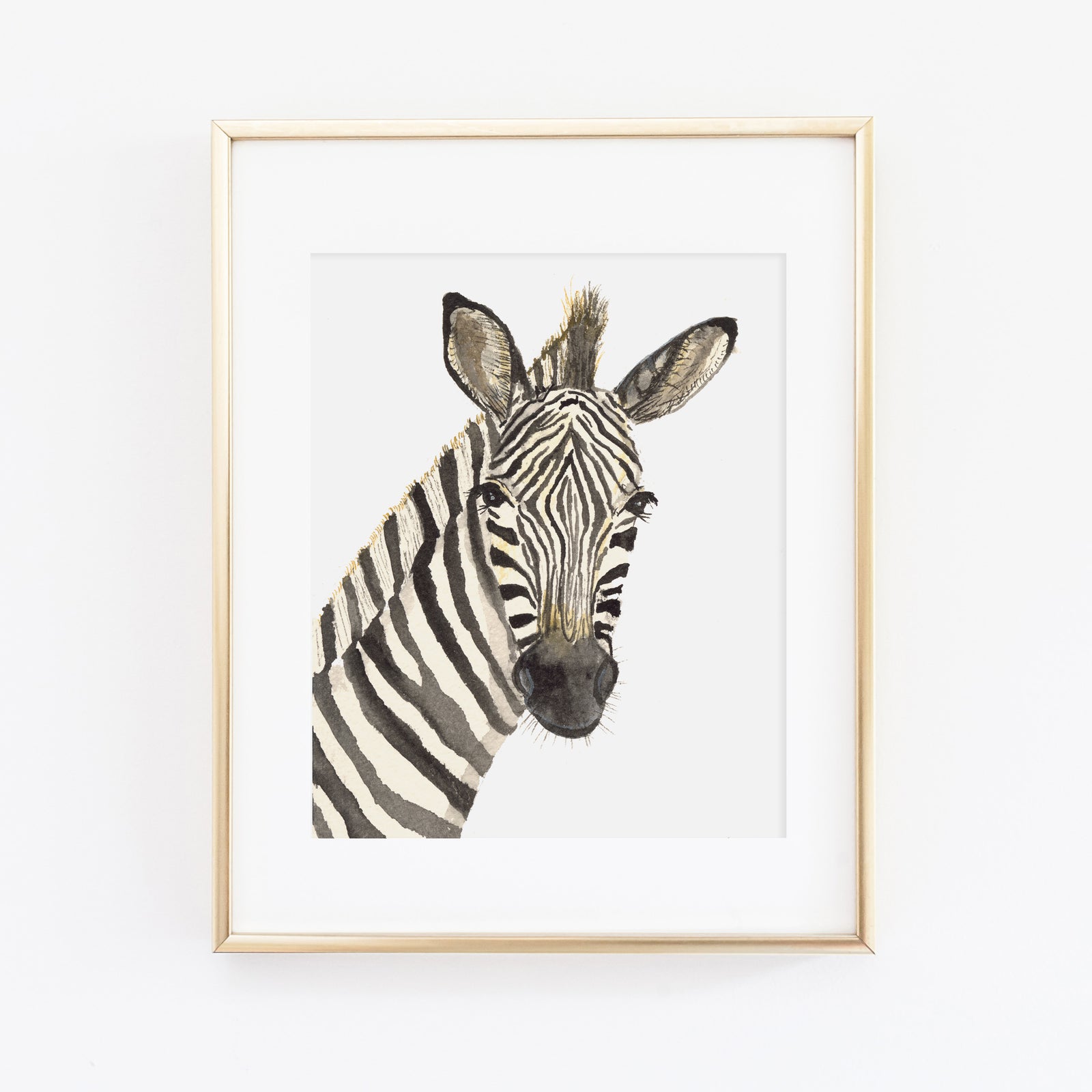 Zebra Art Print