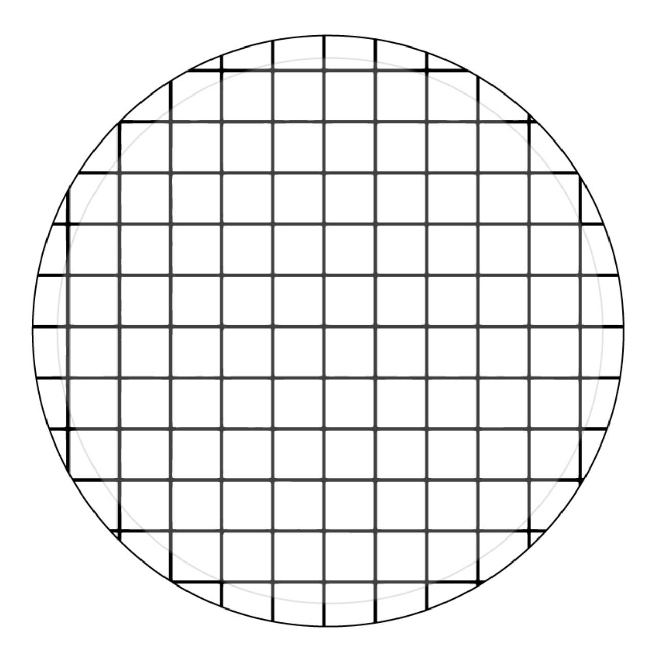 Black and White Grid Paper Plates