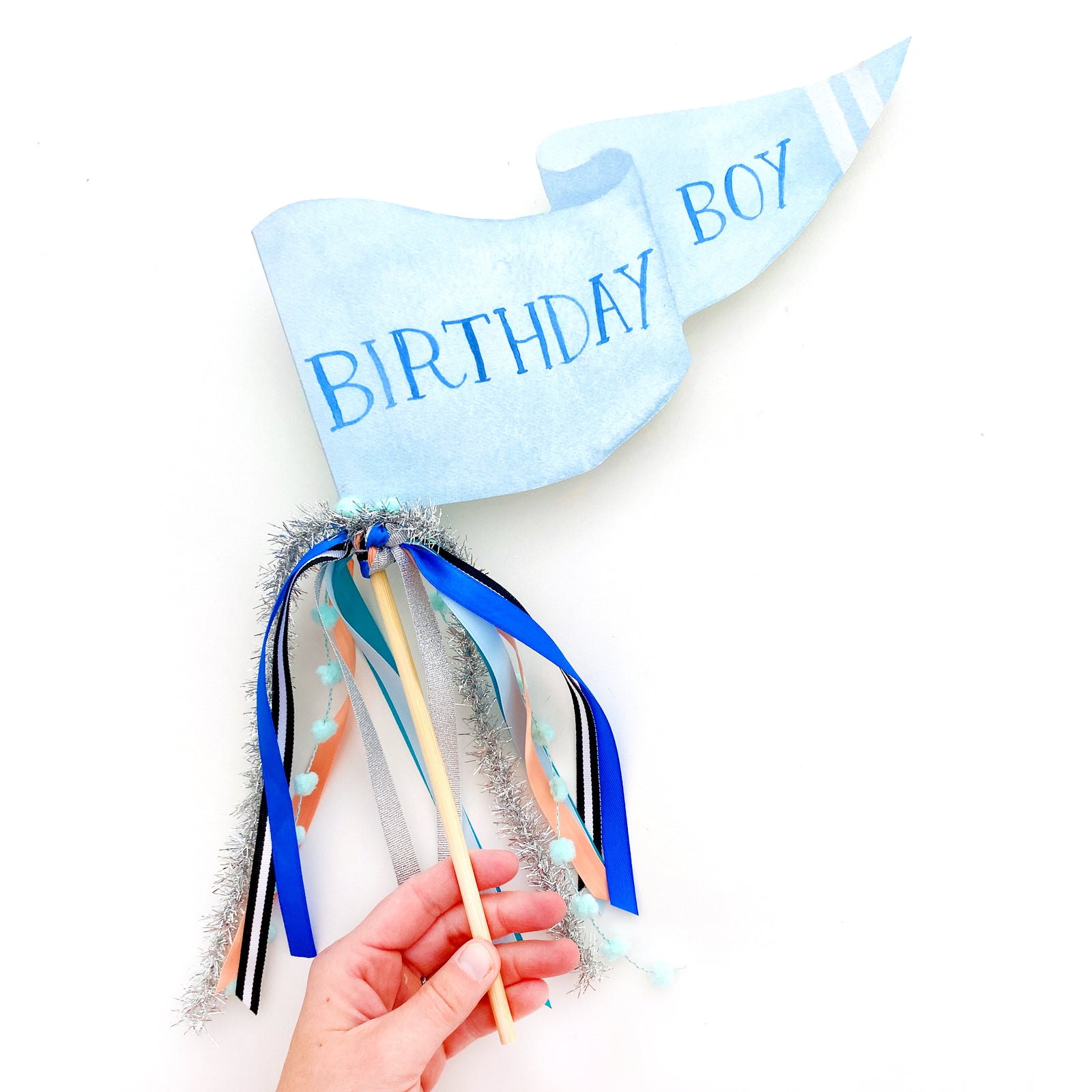 Birthday Boy Party Pennant