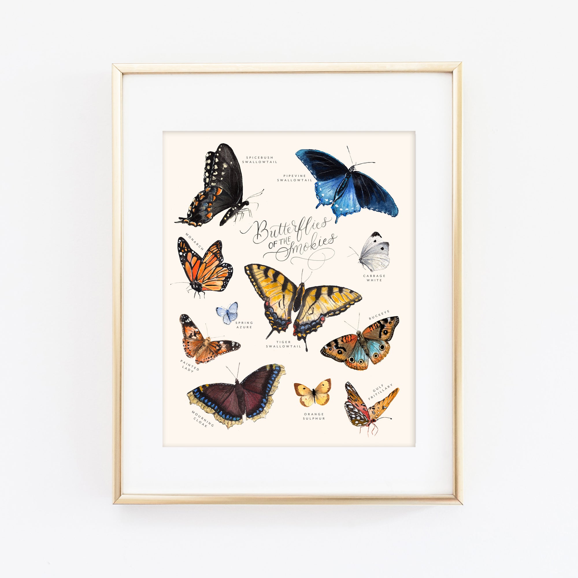 Butterflies of the Smokies Art Print