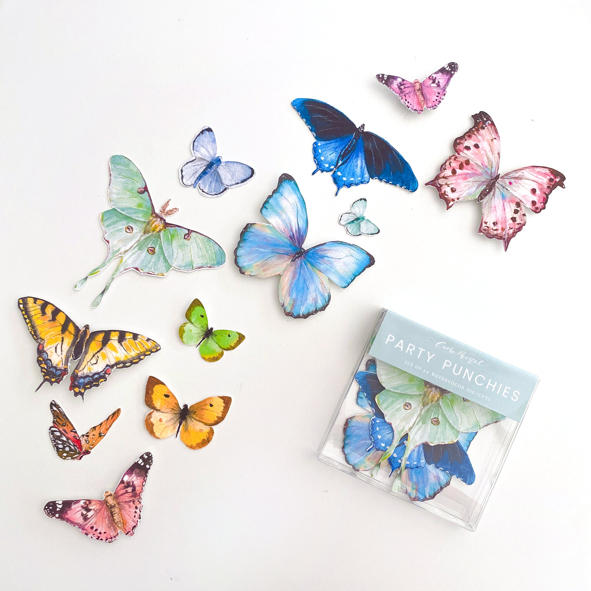 Rainbow Butterfly Party Punchies