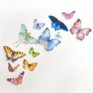 Rainbow Butterfly Party Punchies